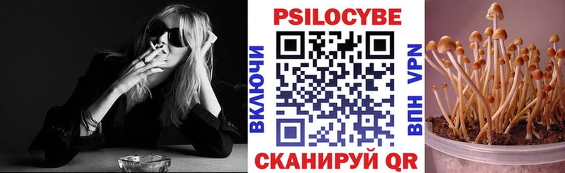 Псилоцибиновые грибы Magic Shrooms  Южно-Сухокумск 