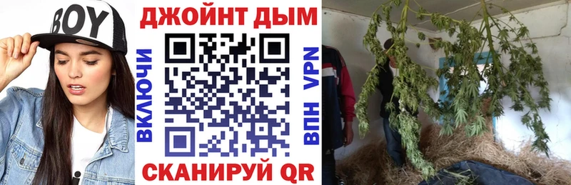 МАРИХУАНА план  darknet наркотические препараты  Южно-Сухокумск 